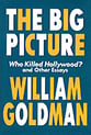 Big Picture book cover